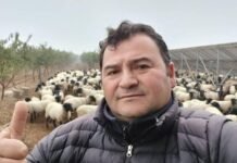 Alcalde de Chépica sufre accidente vehicular Alcalde de Chépica sufre accidente vehicular